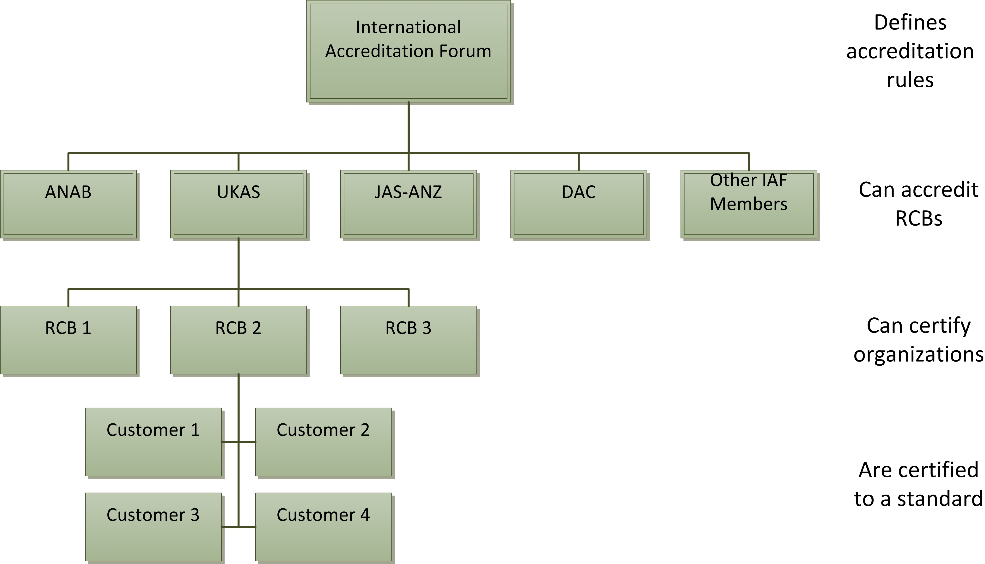 Certification Body Organization Chart