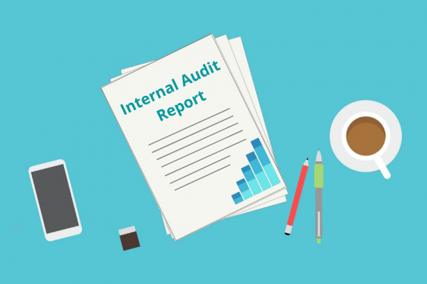Internal audits report cartoon